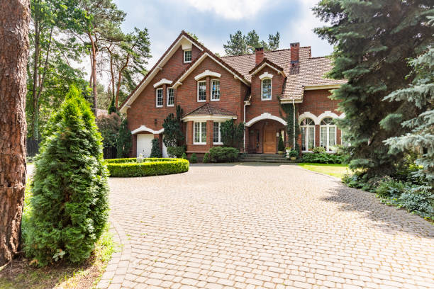 Best Best Driveway Pavers  in Elmo, TX